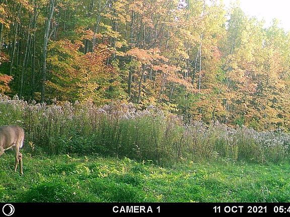 4th image of 110 Stone Rd