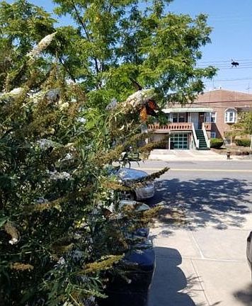 4th image of 10202 Avenue L