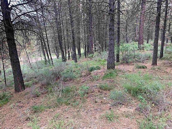 3rd image of 31 S Meadow Creek Dr