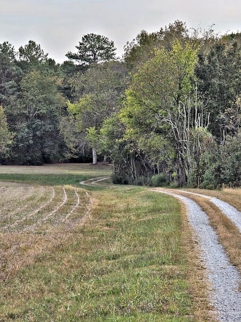 House/Cabin - 3br/2ba - Athens/Limestone County — Photo 3
