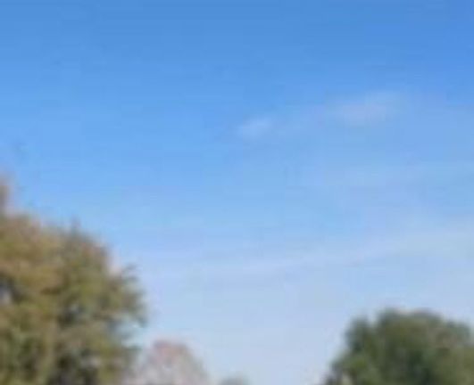 Exterior Neighborhood (street photo)