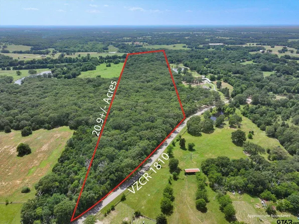 1829 Vz County Road 1810, Grand Saline, TX 75140