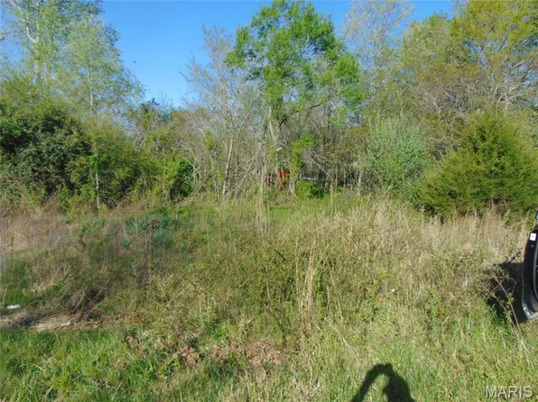 0 Ripley Rte N, Doniphan, MO 63935