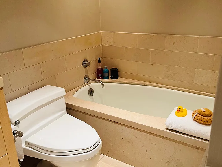 Master bath tub