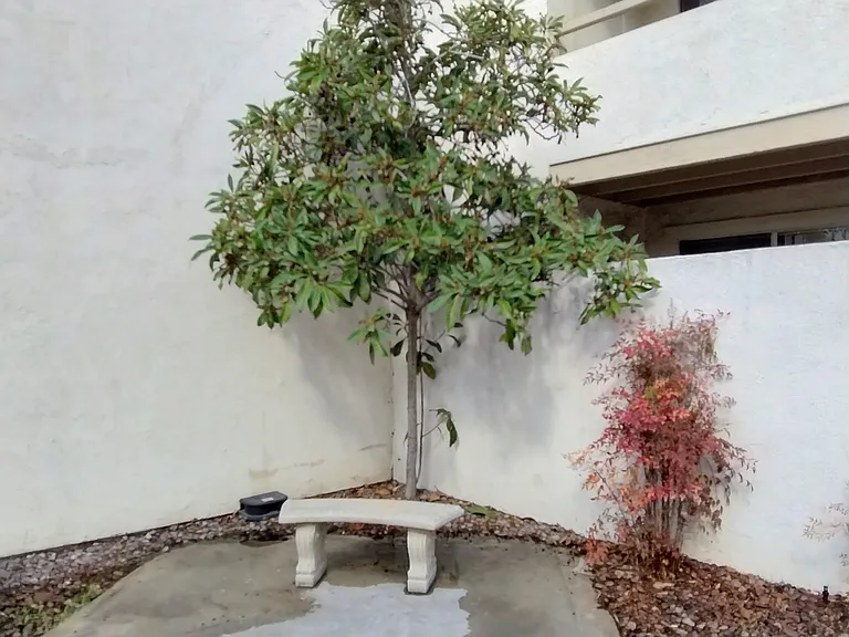 Black Mountain Villas — Photo 26