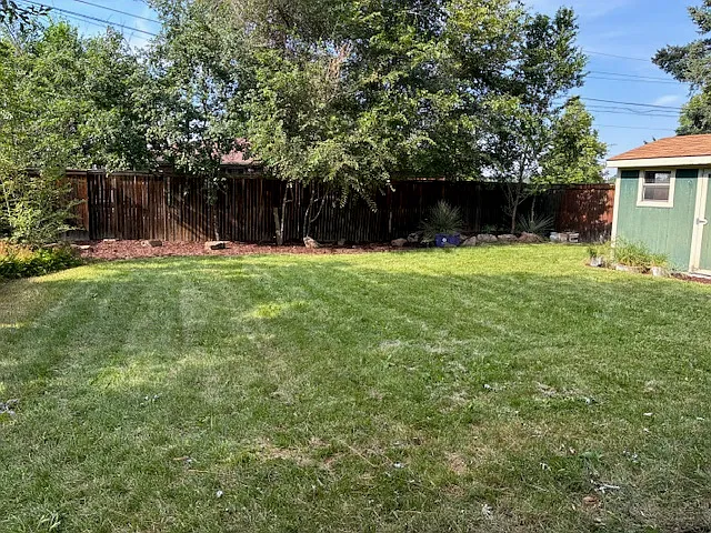 Large Backyard