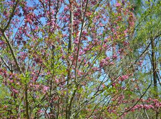 10066 Mize Rd, Remlap, AL 35133