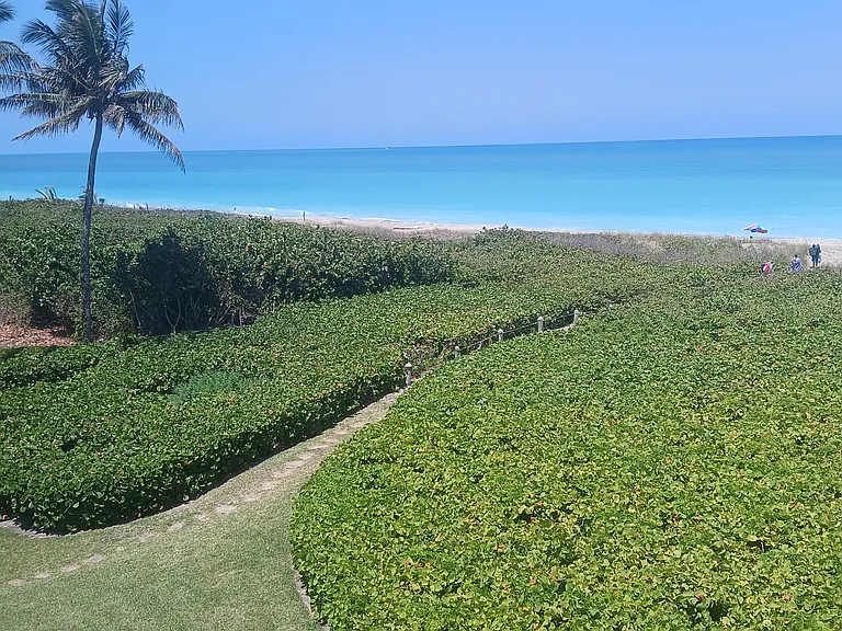 1550 S Ocean Dr #D24 — Photo 12