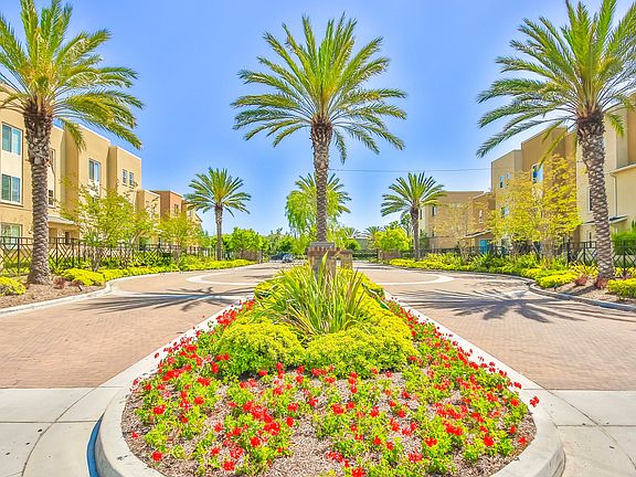 Manicured Community