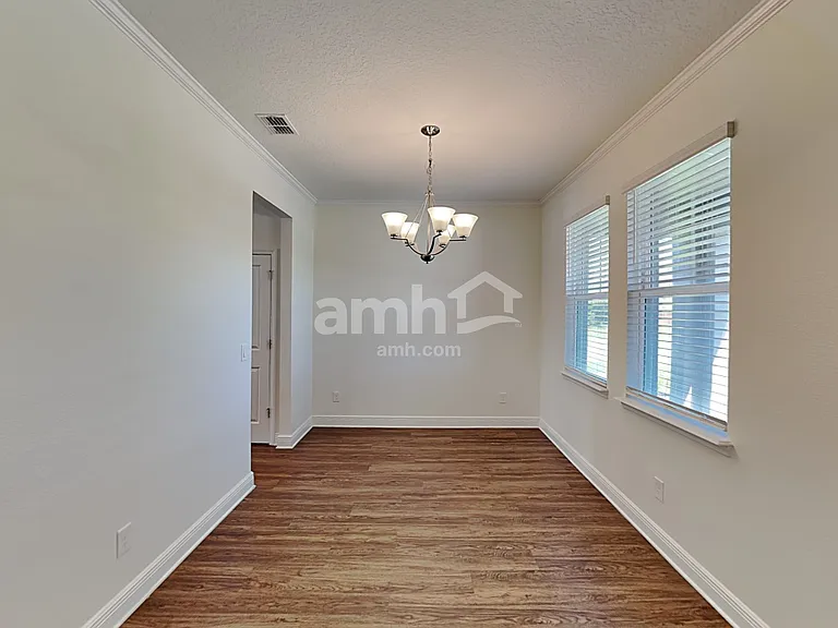 1306 Celery Palm Cv — Photo 9