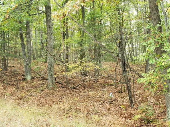 Sitzmark Dr, Spruce, MI 48762