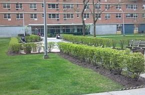 2nd image of 2942 W 5th St APT 9M