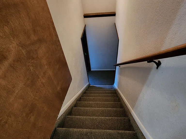 Stairs to walk out basement.
