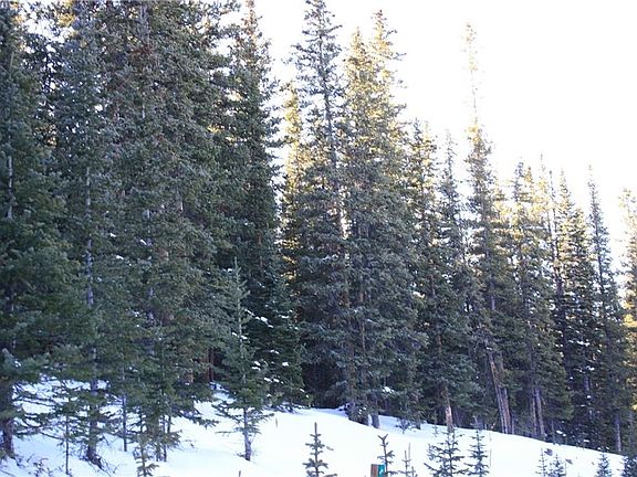 4th image of 443 Bum Dr