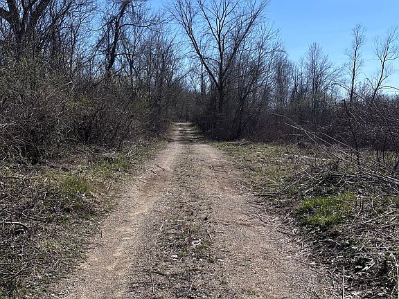 2nd image of 37103 County Road 390