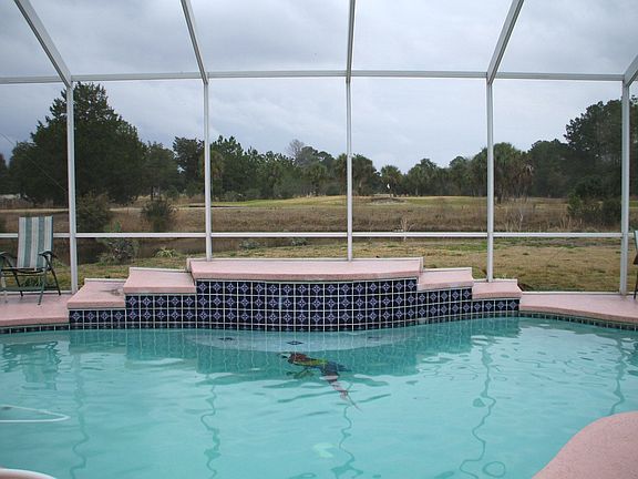 Enclosed Pool w/Waterfall