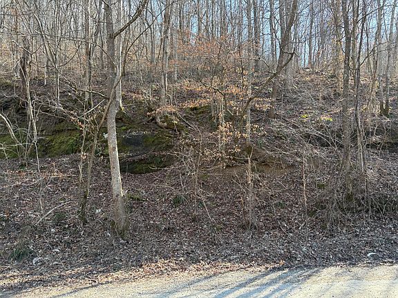 5th image of 1610 Brices Creek Rd