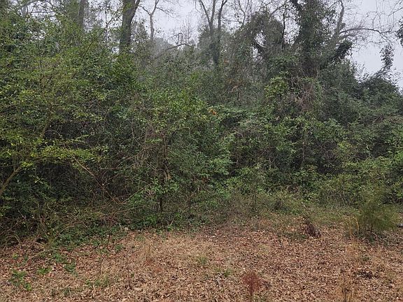 4th image of 526 S Caroline