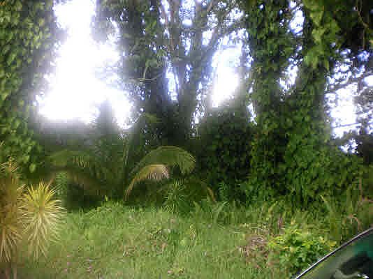 2nd image of Kahakai Blvd Lot 2
