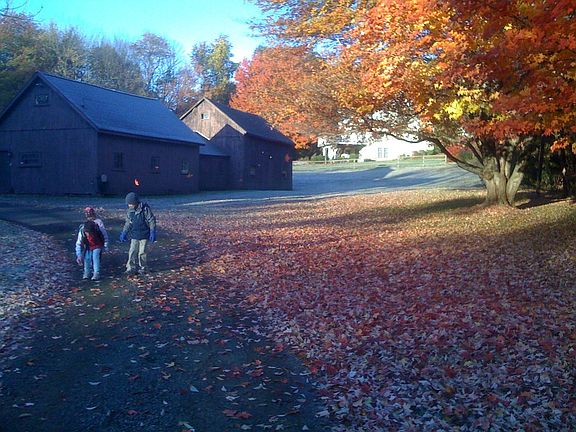 Barns in autumn