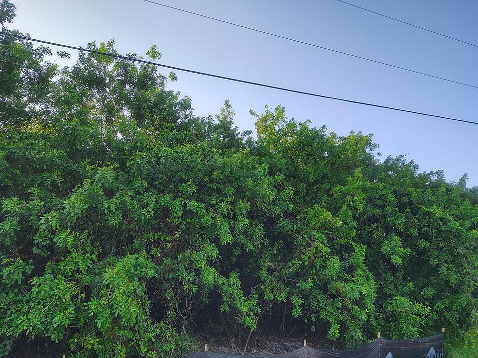 2nd image of 3931 SW Port St Lucie Boulevard