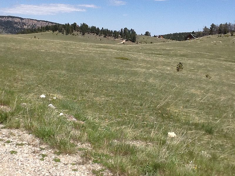 1st image of Tbd Billy Creek