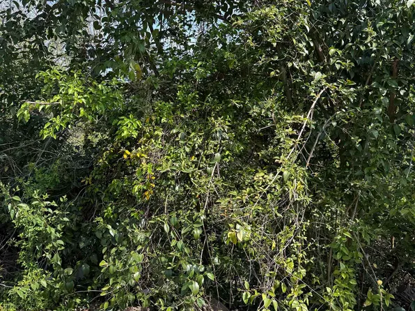 234 Appian Dr, Spartanburg, SC 29306