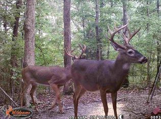 Threlkel Ferry Road, bowling green, KY 42101