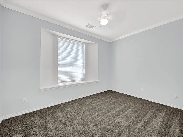 16523 Wax Mallow Dr — Photo 14