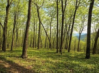 0 Burnt Mountain Cove Rd #117, Jasper, GA