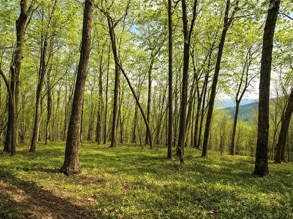 0 Burnt Mountain Cove Rd #117, Jasper, GA 30143