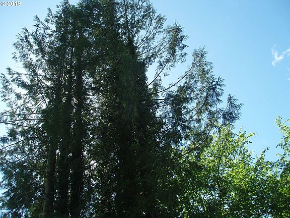 4th image of E Alsea Hwy