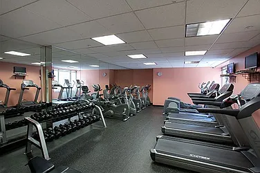 Rented by New Vista Horizons, Inc.