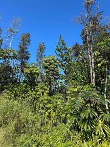 Kilika Rd LOT 249, Keaau, HI, 96749