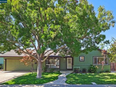 2117 Dena Dr, Concord, CA, 94519
