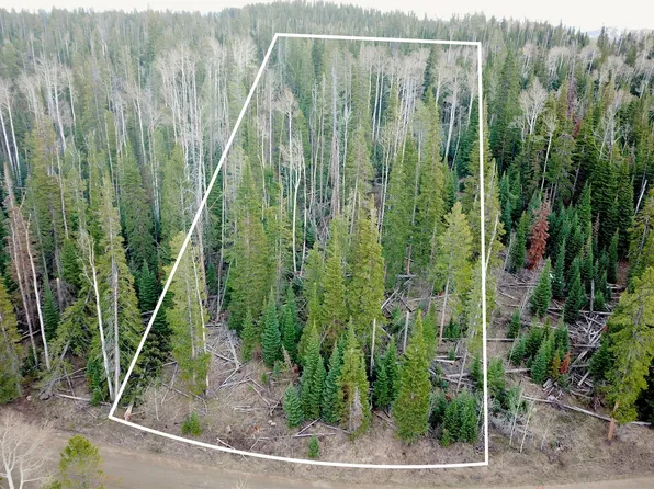 57050 Golden Tide Pl, Clark, CO 80428