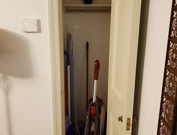 Historic McKennan Park Apt #5 Living Room Closet