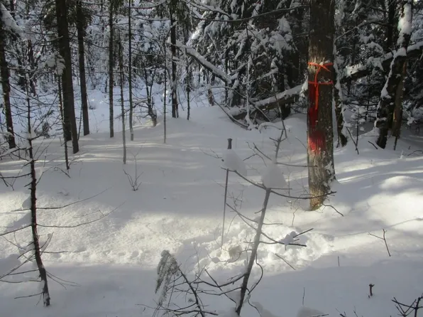 000 Off Shover Road, Eden, VT 05652