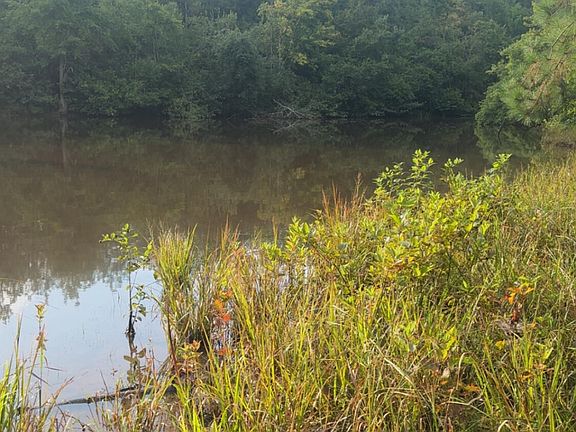 4th image of County Road 393