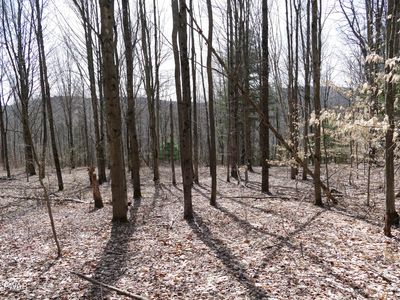 Hunsinger Rd, Laceyville, PA, 18623