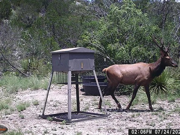SW Fm 2523, Rocksprings, TX 78880