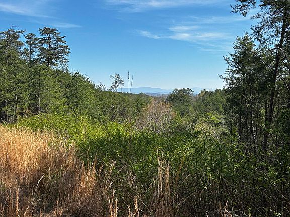 3rd image of TRACT 2 Owl Hollow Trl SW