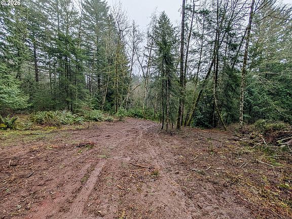 3rd image of 0 NE Berry Rd