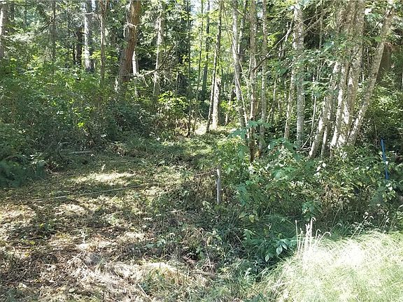 4th image of 2405 Huckleberry Ln