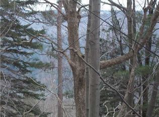 6607 S Old Bald Hill Rd, Springwater, NY 14560