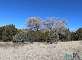 5103 Little Walnut Rd, Silver City, NM 88061