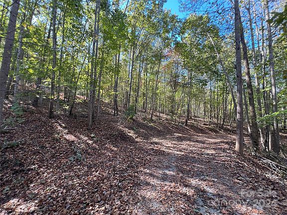4th image of Brindlewood Dr #67-68