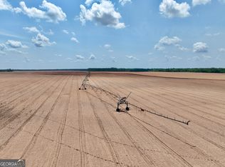 89 Griffin Rd, Hawkinsville, GA 31036