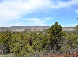 1477 La Posta Canyon Rd, Durango, CO 81303