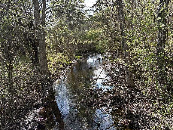 2nd image of 6000 Lange Rd